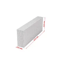 Газобетонный блок SLS (Березовский КСИ) 100х250х625 D500