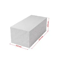 Газобетонный блок SLS (Березовский КСИ) 300х250х625 D500